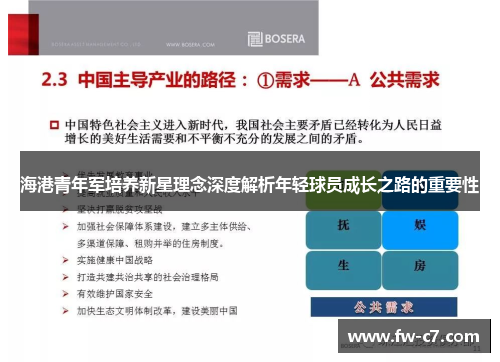 海港青年军培养新星理念深度解析年轻球员成长之路的重要性