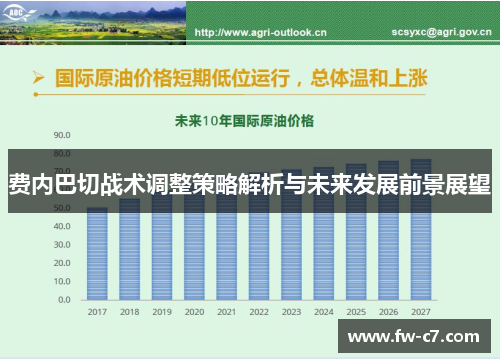 费内巴切战术调整策略解析与未来发展前景展望